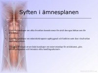 /album/musklerna/a6-musklerna-0001-jpeg/